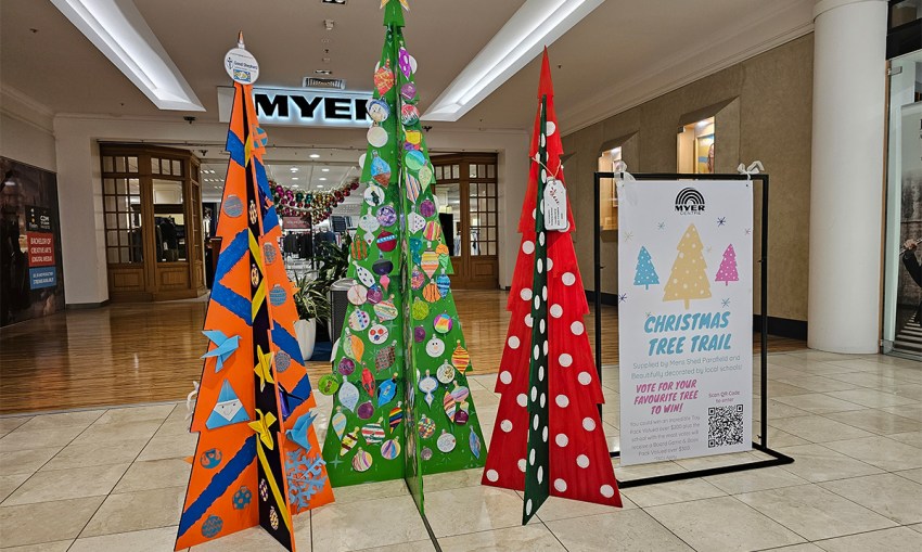 Merry and bright with the Christmas Tree Trail CityMag