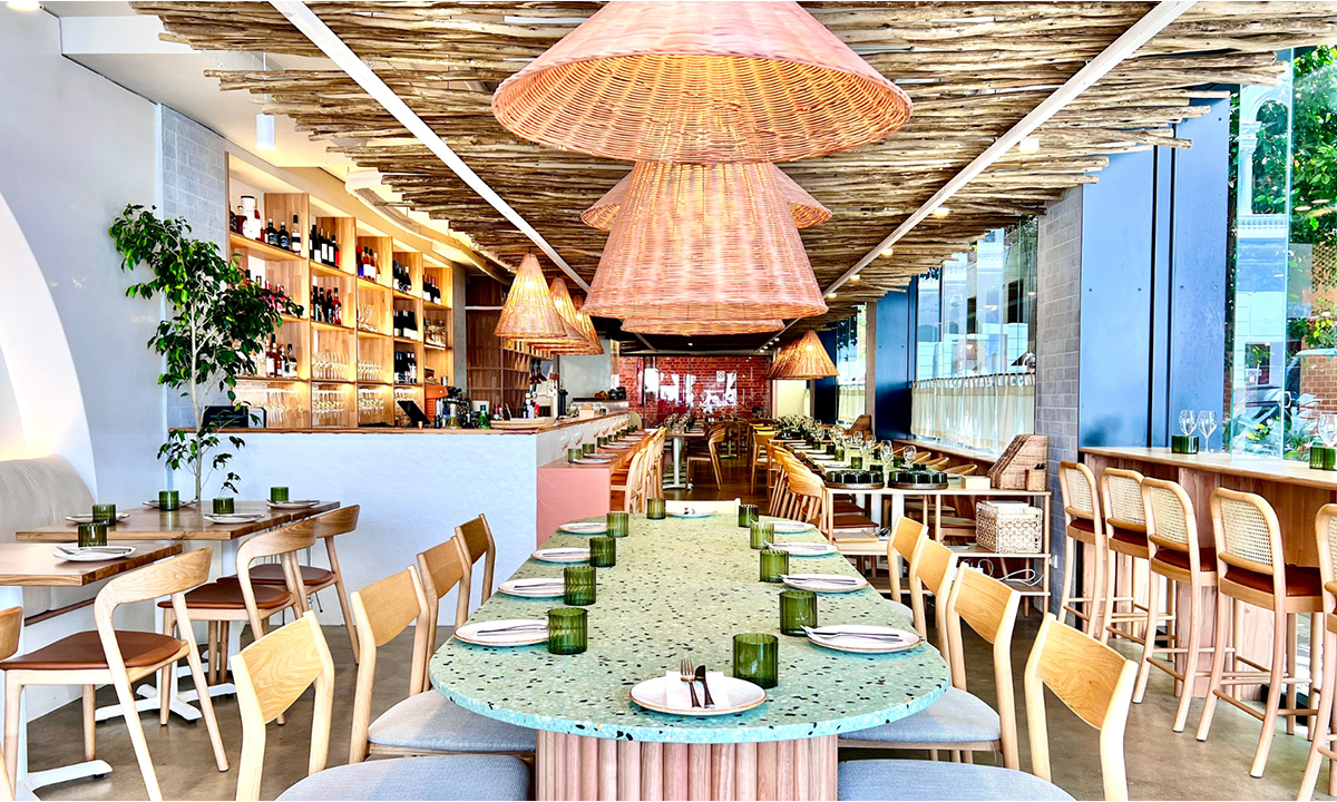 Launch of Olive Restaurant CityMag