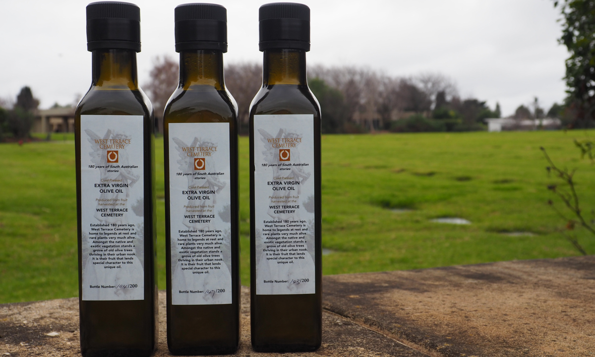 West Terrace Cemetery s Homegrown Olive Oil CityMag west-terrace-cemetery-s-homegrown-olive-oil-citymag