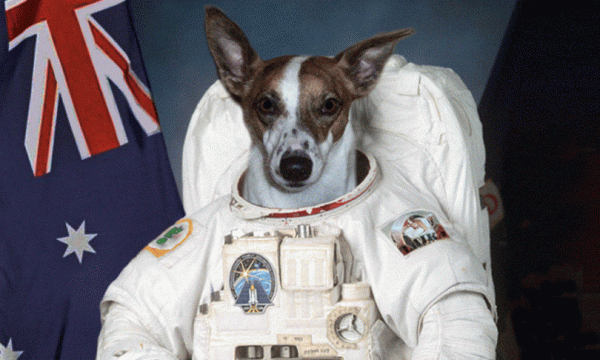 first dog on the moon Archives - CityMag