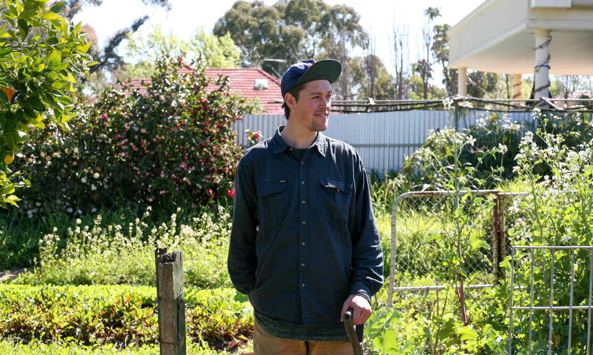 Backyard farming with The Ash Patch CityMag