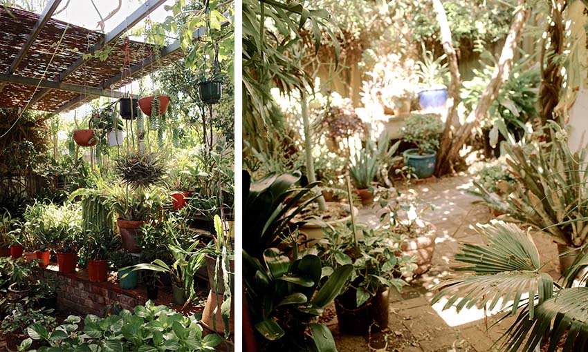 Indoor Gardens Melbourne - Herbarium Melbourne