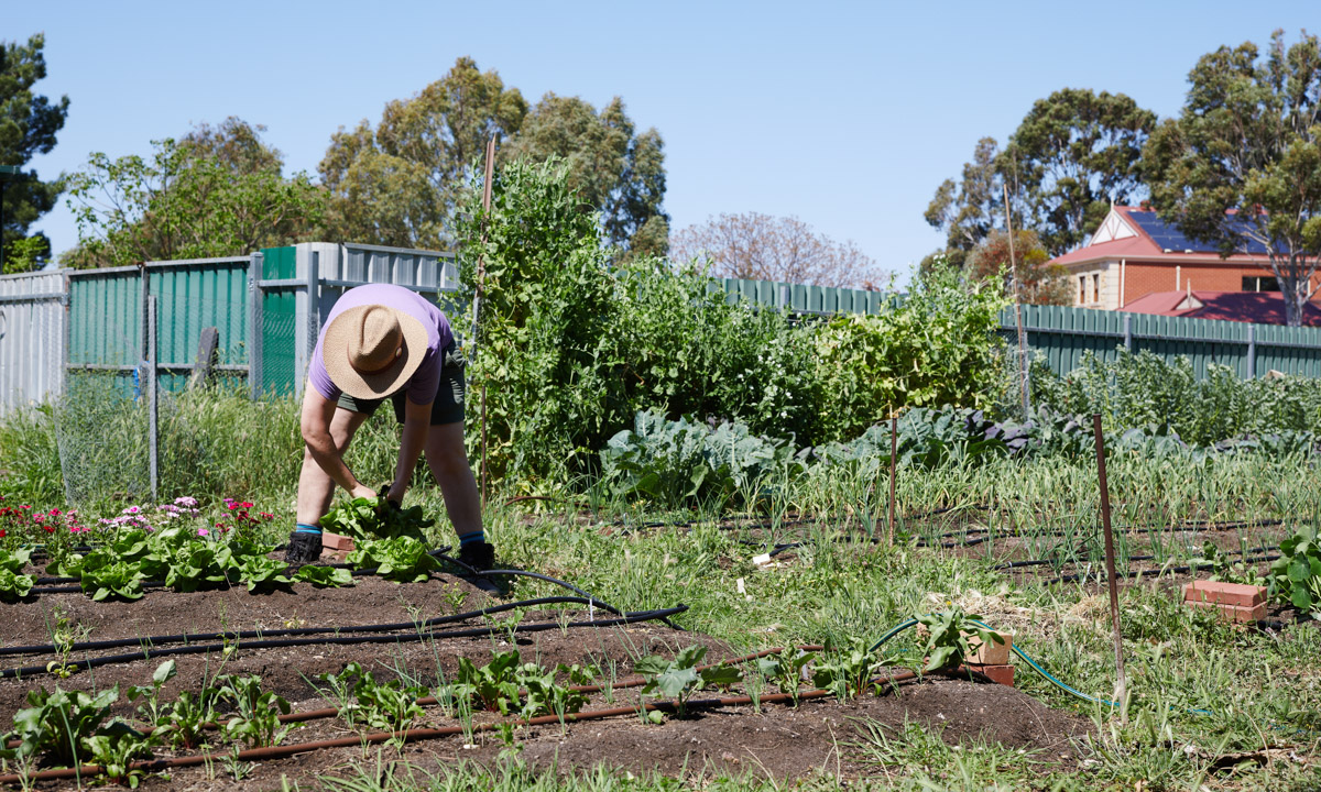 Sowing seeds of a new kind of Australian farming with Sovereign Soil